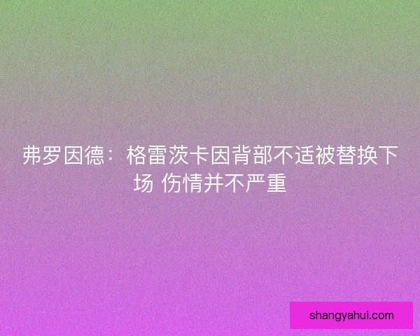 弗罗因德：格雷茨卡因背部不适被替换下场 伤情并不严重